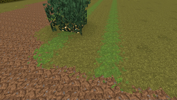 Grass, moss and coarse dirt connected textures