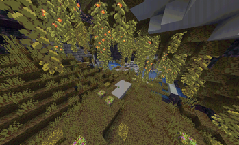 Lush caves