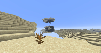 A desert biome.