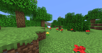 A forest biome.