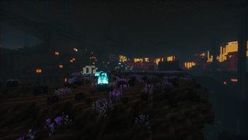 The Vast Nether