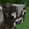 Flattened Cow Nose