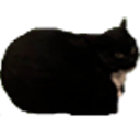 Maxwell Cat in Minecraft