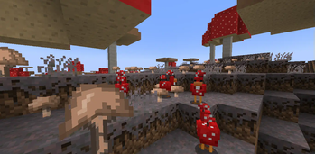 Mushroom Island