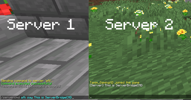This is a example of ServerBridgeCmd