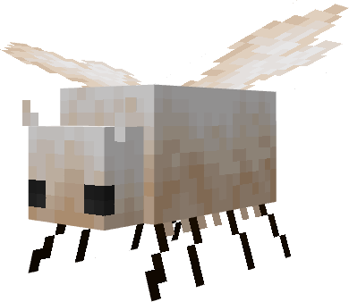 The Moth
