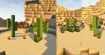 Cactus party