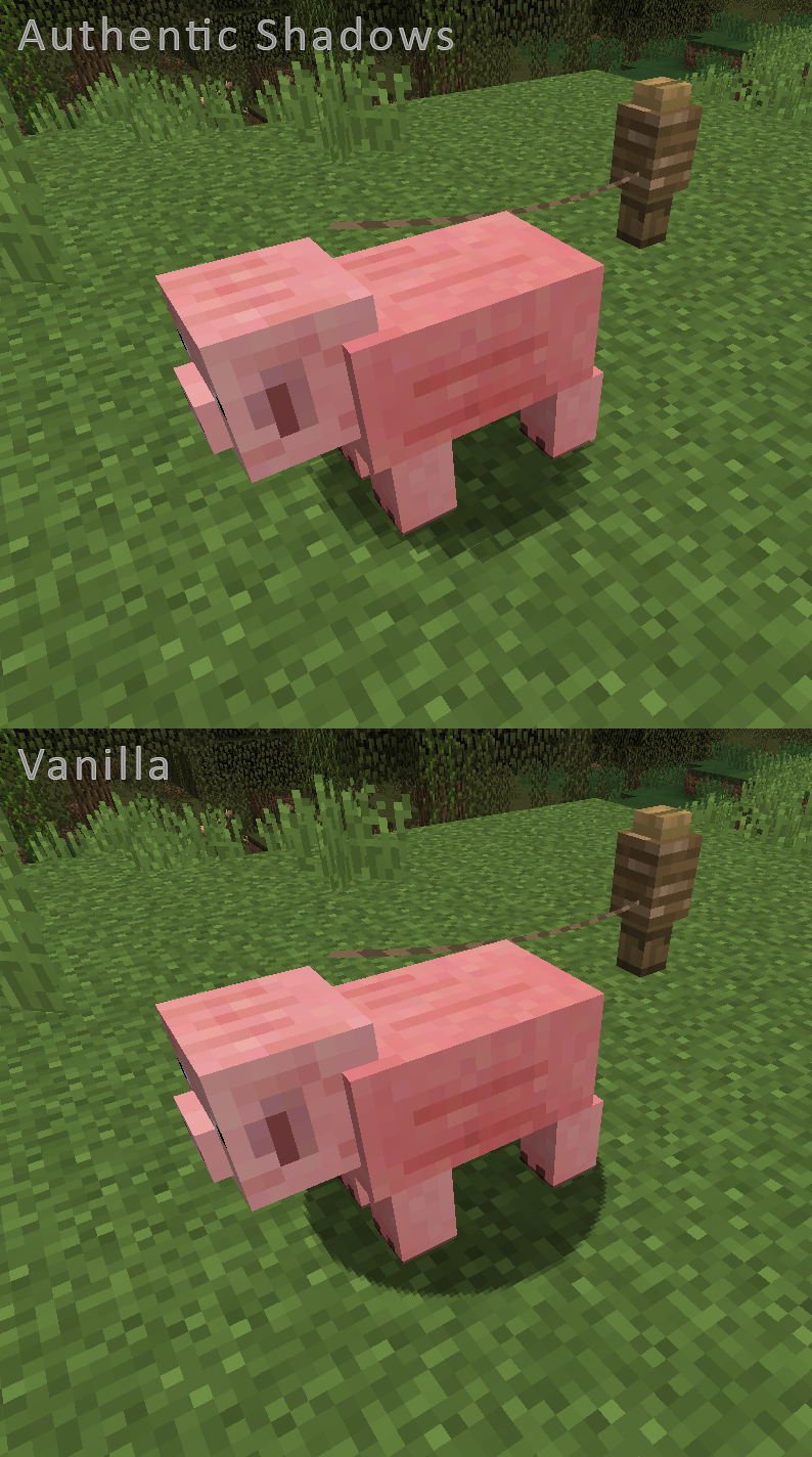 Comparison