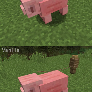 Comparison