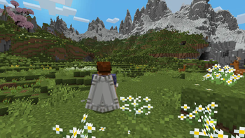 Elytra from back