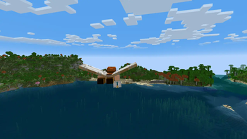 Elytra In Flight