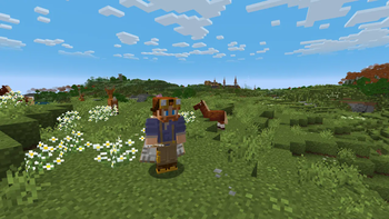 Front View of Elytra