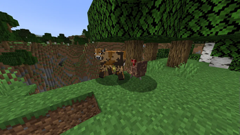 Choco Cow and Turkey!