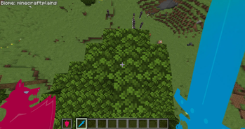 Sword and Shield View