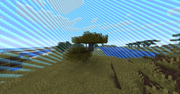 Border Challenge