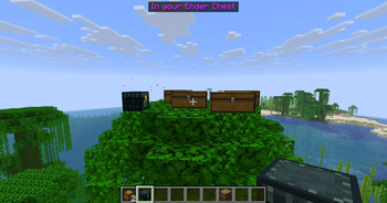 Be notified if something you searched is in your enderchest