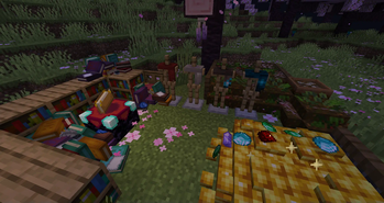 Scarfs and Decorations