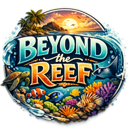 Beyond the Reef