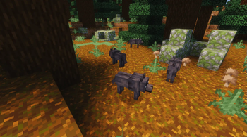 Black Wolves