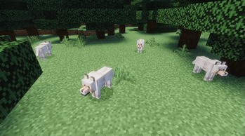 Pale Wolves
