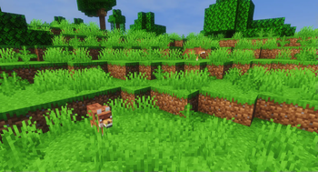 Rusty Wolves