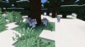 Ashen Wolves