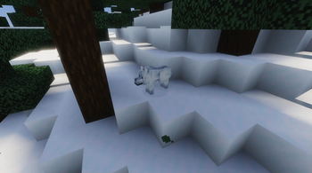 Snowy Wolf
