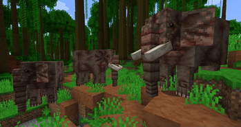 Indian Elephants