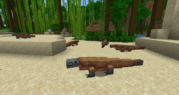 Komodo Dragons