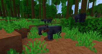 Mountain Tapirs