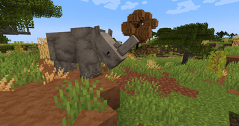 White Rhinoceros