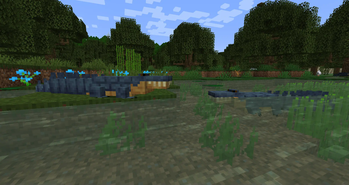 American Alligators