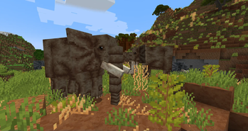Bush Elephants