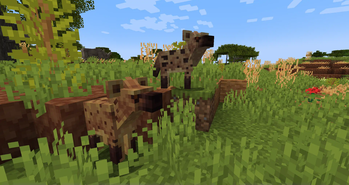 Spotted Hyenas