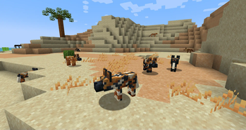 African Painted Dogs
