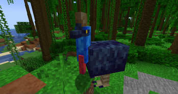Cassowary