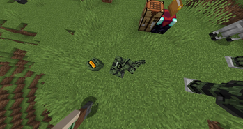 Item on ground