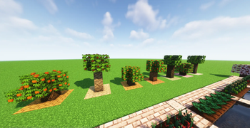 Fruit Trees!