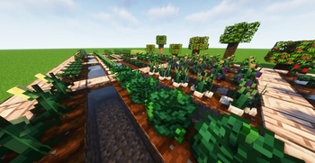 40+ New Crops!