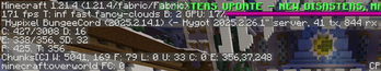 Fps in hypixel server, low-end laptop