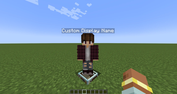 NPC Custom Display Name
