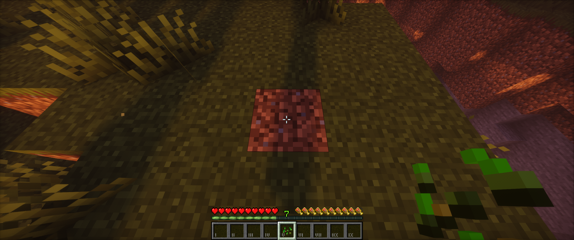 Grow dirt into grass with grass seeds