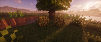 Wild Wheat — screenshot 1