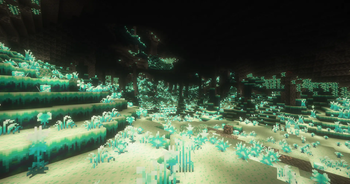 Glowroot Cave 3