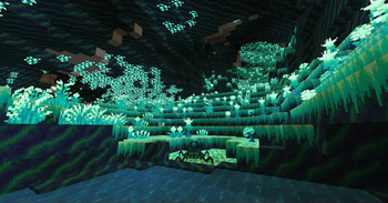 Glowroot Cave (6)