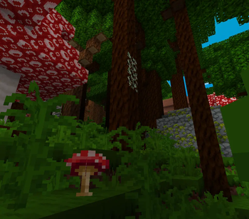 dark forest