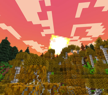 birch forest daytime