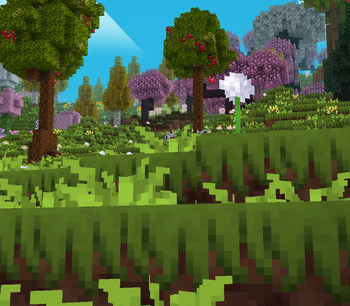 the orchard