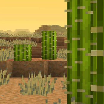 cactus