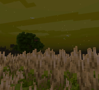 prairie
